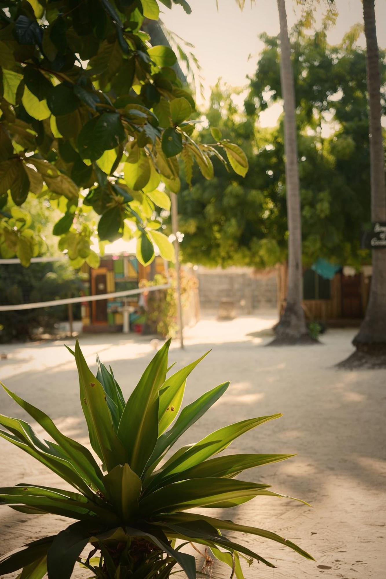 Your Zanzibar Place Hostal Paje